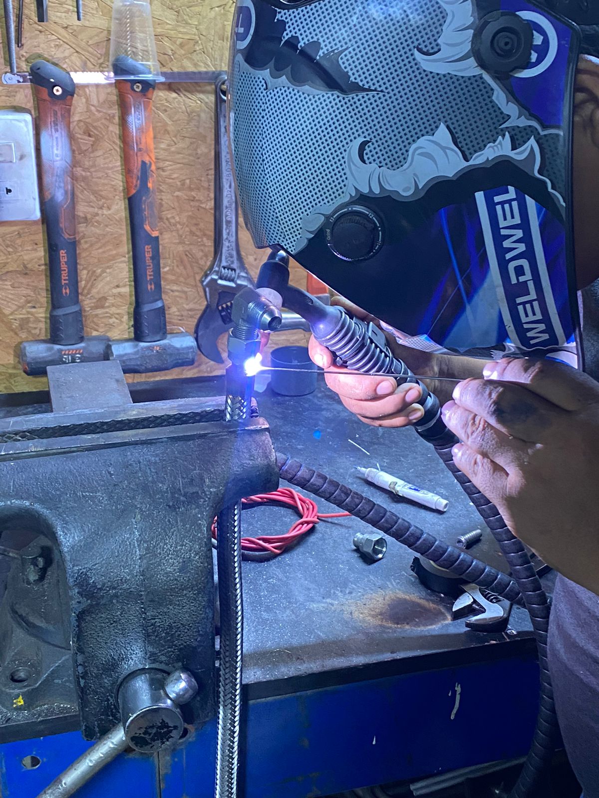 fotos diversas hpm 3